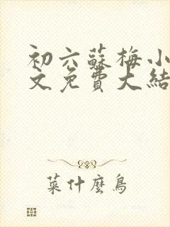 初六苏梅小说全文免费大结局