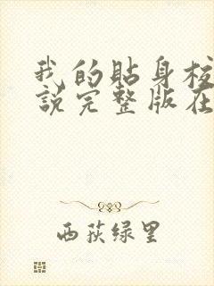 我的贴身校花小说完整版在线阅读