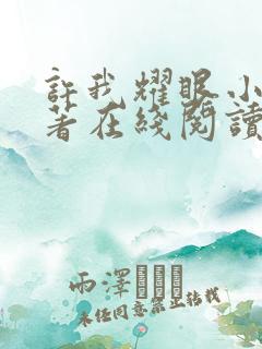 许我耀眼小说原著在线阅读