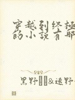 穿越到终极斗罗的小说有哪些