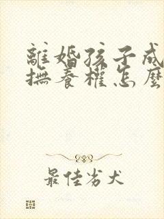 离婚孩子成年了抚养权怎么判