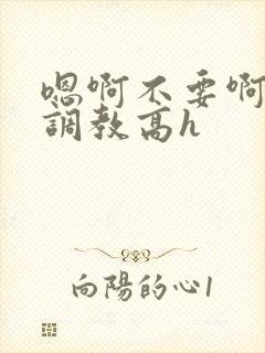 嗯啊不要啊啊啊调教高h