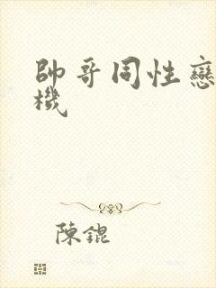 帅哥同性恋打飞机