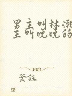 男主叫林潮生女主叫晚晚的小说