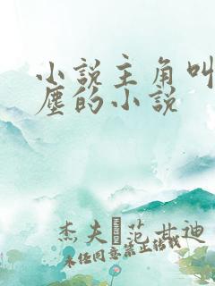 小说主角叫李沐尘的小说