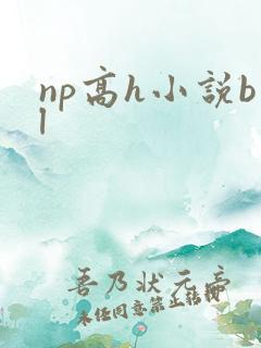 np高h小说bl