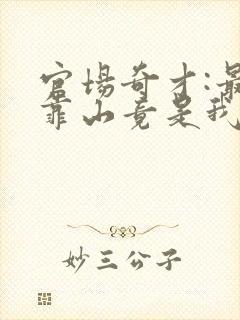 官场奇才:最强靠山竟是我自己李澜全文小