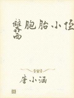 双胞胎小侄女小茜