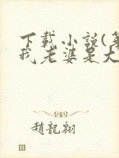 下载小说(华娱我老婆是大明星)