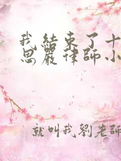 我结束了十年苏思严律师小说