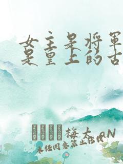 女主是将军男主是皇上的古言