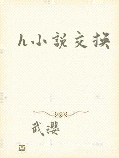 h小说交换