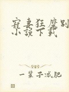 宠妻狂魔别太坏小说下载