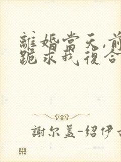 离婚当天,前夫跪求我复合短剧