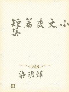 短篇爽文小说合集