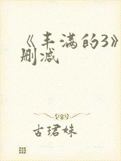 《丰满的3》无删减