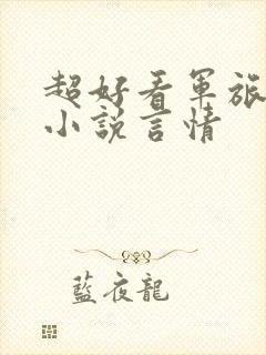 超好看军旅甜文小说言情