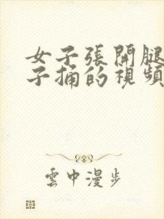 女子张开腿让男子捅的视频