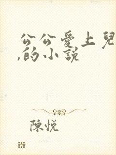 公公爱上儿媳妇,的小说