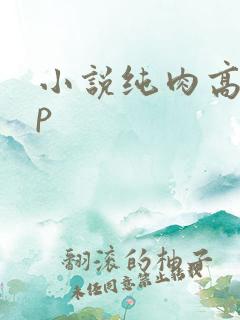 小说纯肉高hnp