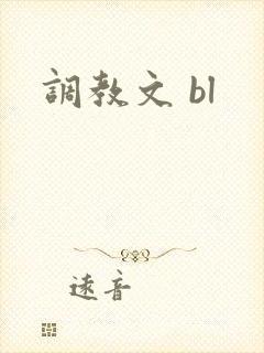 调教文 bl