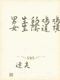 男生的鸡鸡插进女生阴道视频