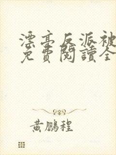 漂亮反派被抹布免费阅读全文笔趣阁