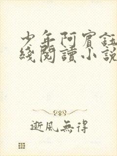 少年阿宾钰慧在线阅读小说