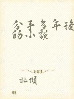 分手多年后重逢的小说