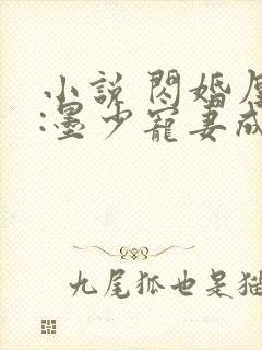 小说 闪婚厚爱:墨少宠妻成瘾