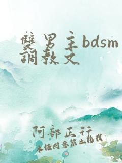 双男主bdsm调教文