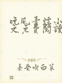 晚风青烟小说全文免费阅读无弹窗