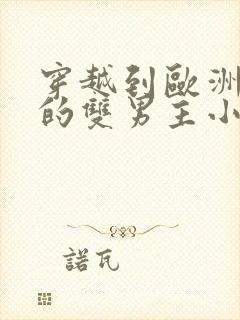 穿越到欧洲贵族的双男主小说