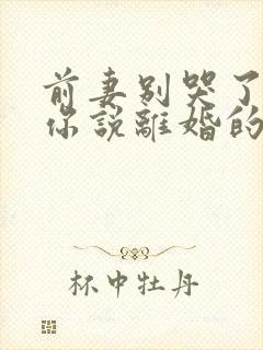 前妻别哭了,是你说离婚的