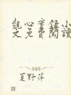 观心实录小说全文免费阅读最新章节