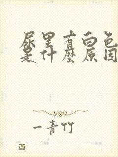 尿里有白色液体是什么原因