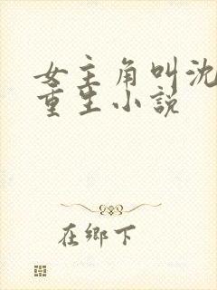 女主角叫沈晚的重生小说