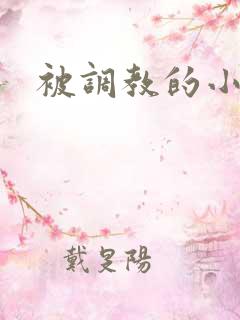 被调教的小骚货