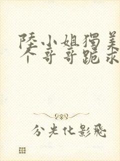 陆小姐独美后六个哥哥跪求原