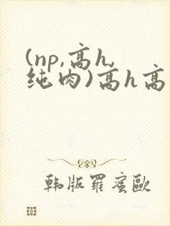 (np,高h,纯肉)高h高辣视频