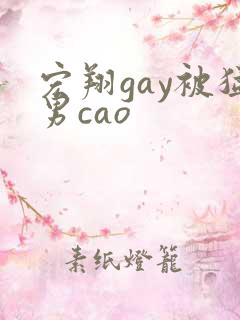 宏翔gay被猛男cao