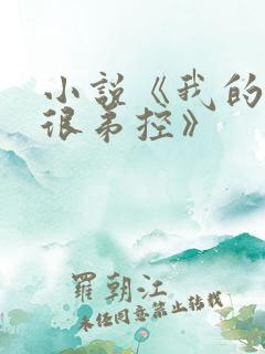 小说《我的姐姐很弟控》