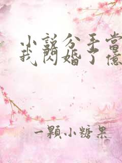 小说分手当天,我闪婚了亿万富豪