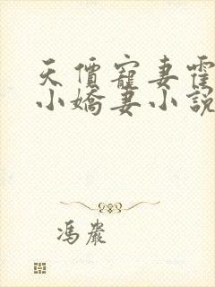 天价宠妻霍总的小娇妻小说免费阅读