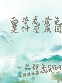 白带成黄色水样是什么原因