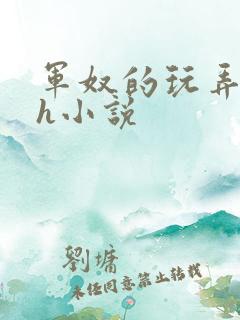 军奴的玩弄调教h小说