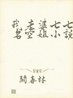 我老婆七七是一名空姐小说