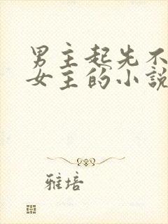 男主起先不喜欢女主的小说