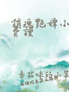 销魂艳婢小说免费读