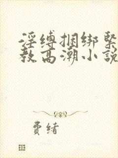 淫缚捆绑紧缚调教高潮小说